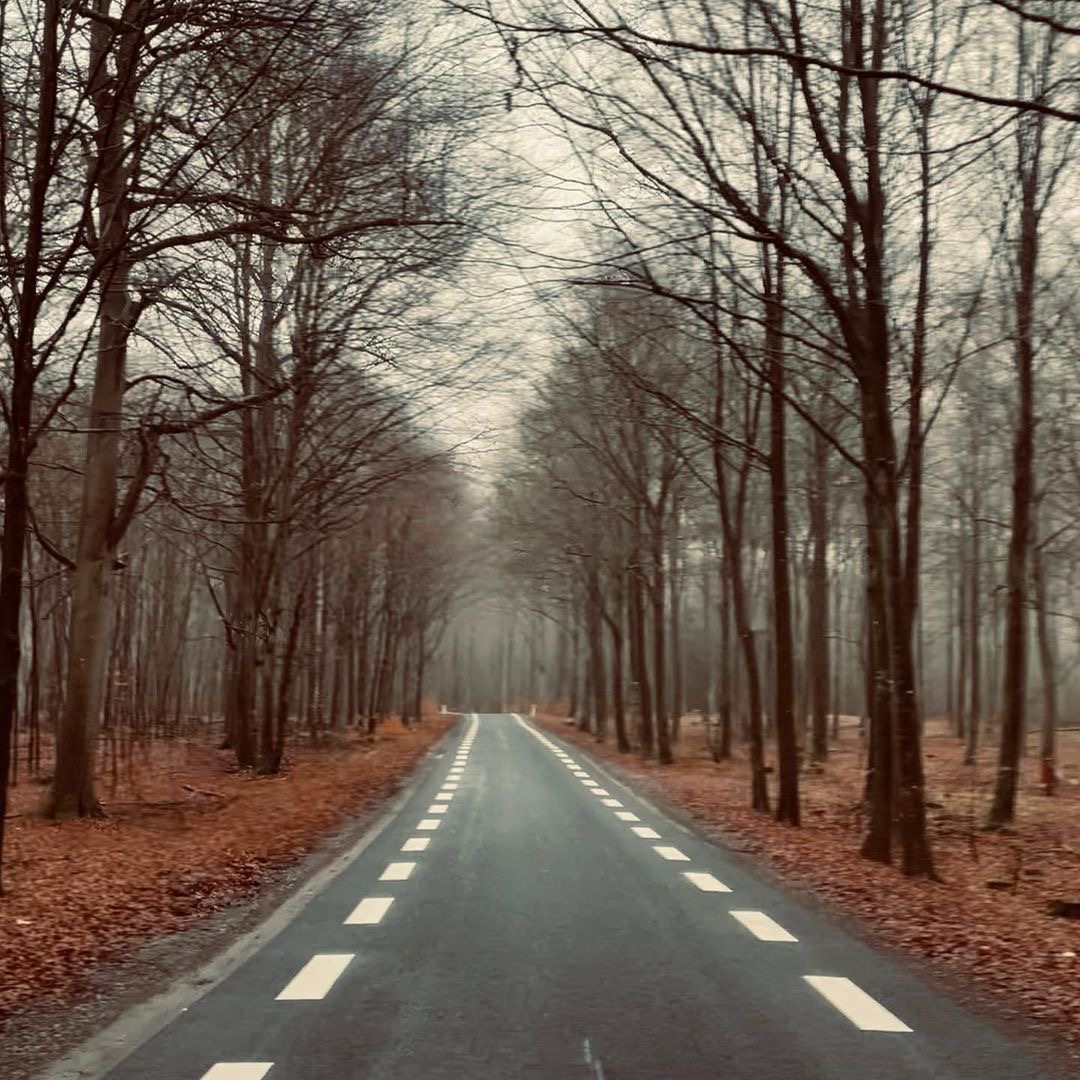 INTOTHEWOOD